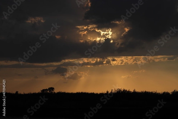 Obraz 草原と夕焼け