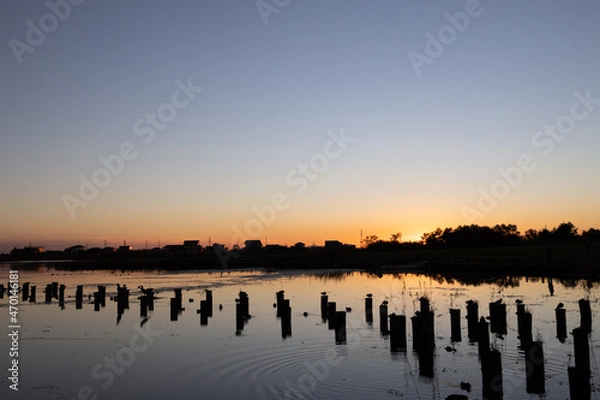 Obraz 潟の夕暮れ（新潟県北区福島潟）