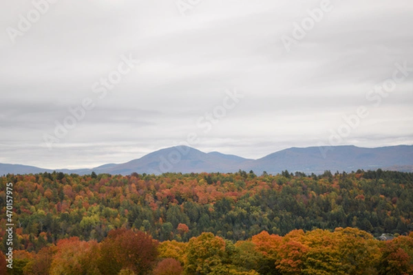 Obraz Vermont Foliage