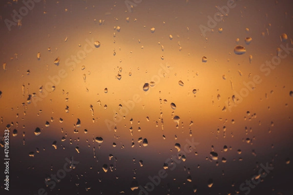 Fototapeta Raindrops