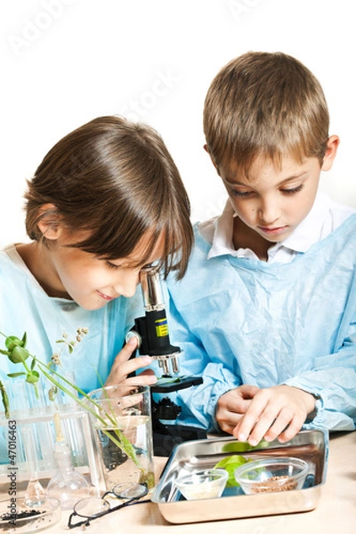 Obraz Młodzi naukowcy