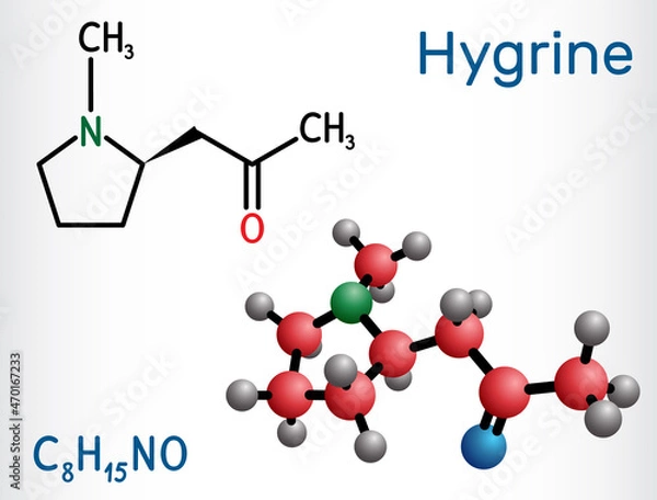 Fototapeta Hygrine pyrrolidine alkaloid molecule. It is found in the coca plant. Structural chemical formula and molecule model