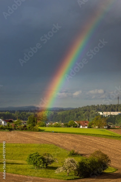 Obraz rainbow over the valleys