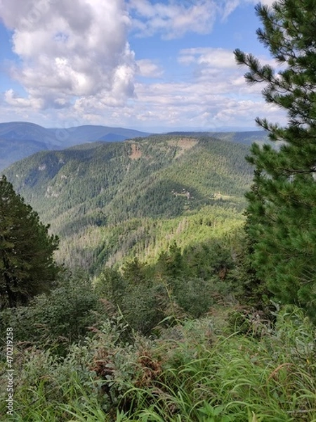 Obraz landscape in the mountains