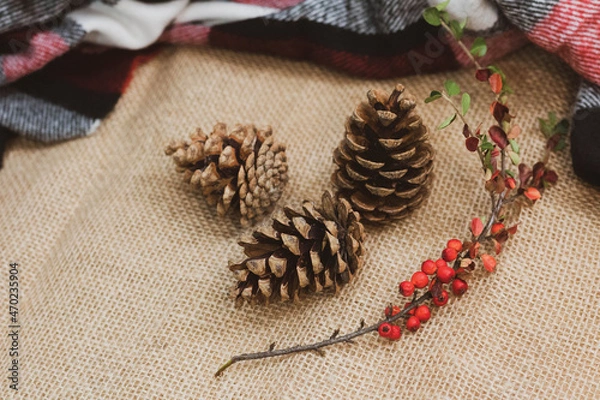 Fototapeta Autumn decoration of twigs and pine cones