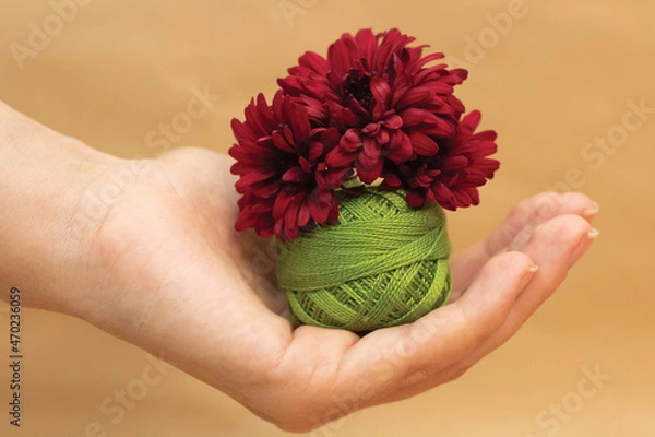 Fototapeta Green embroidery thread and red flower in hand