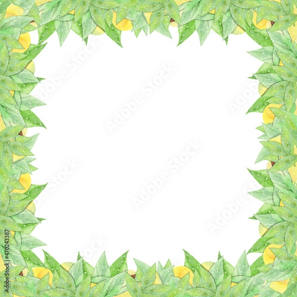 Fototapeta watercolor frame with avocado on white background