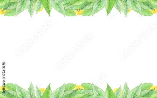 Fototapeta watercolor frame with avocado on white background