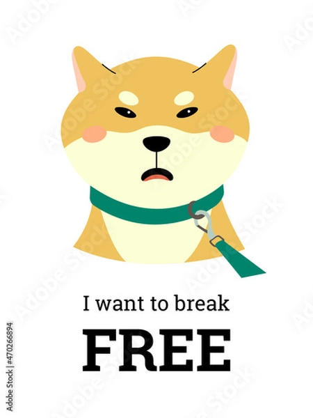 Fototapeta A disgruntled Shiba inu is on a leash, wants to break free. Vector composition with text on a white background. Print for T-shirt, poster or notebook