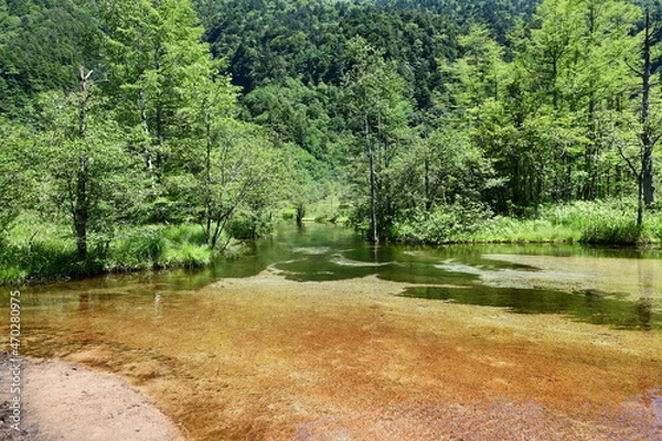 Obraz 上高地風景 田代池
