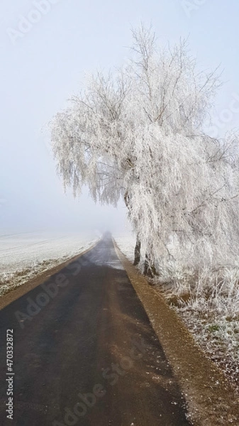 Obraz Schnee Eis und Reif