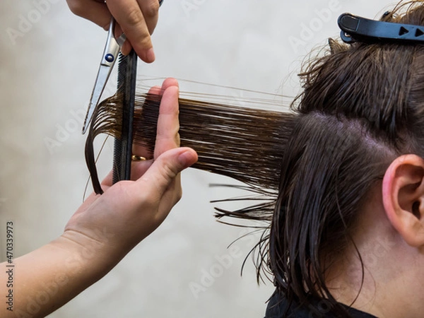 Fototapeta Get rid of split ends. cutting a client's hair with scissors in a beauty salon.