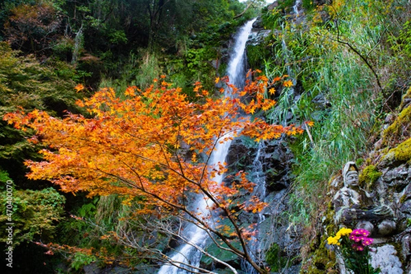 Obraz 自然あふれる森林と紅葉の中の滝