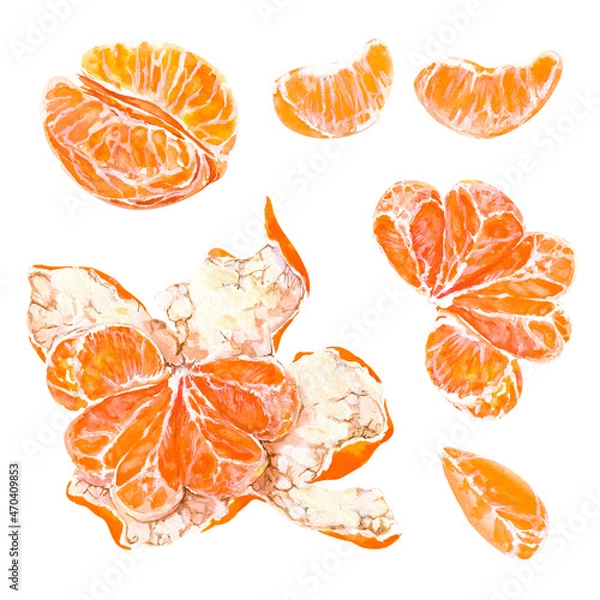 Obraz Appetizing fresh peeled sunny orange tangerine fruit. Hand drawn watercolor. Ready to eat elements for design illustration , card, poster about natural food or vitamins