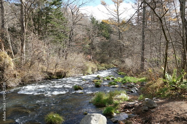 Obraz ⒒月、秋の軽井沢へ行ってきました、紅葉の葉も散り町は冬の準備中、
