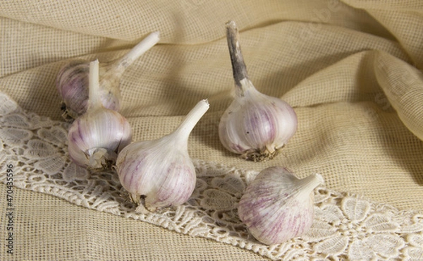 Fototapeta five heads of garlic on a lace ribbon of light color