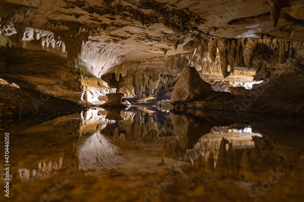 Fototapeta Illuminated Glow Worm Sky in Dark Cave, Waipu Caves, North Island, New Zealand