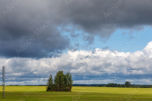Obraz Before a thunderstorm, clouds over a green field with a lonely tree