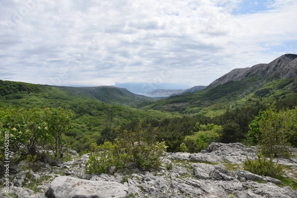 Obraz Croatia Istria