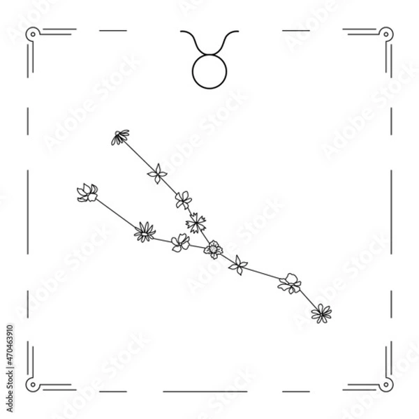 Fototapeta taurus constellation with flowers and zodiac sign.