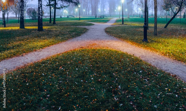Obraz Different trails, routes converge and diverge in different directions in the foggy twilight and the light of night lanterns in the park in autumn.