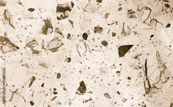 Fototapeta Vector granite texture. Organic stone texture. Granularity surface.