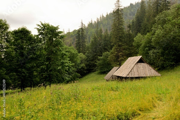 Obraz góry