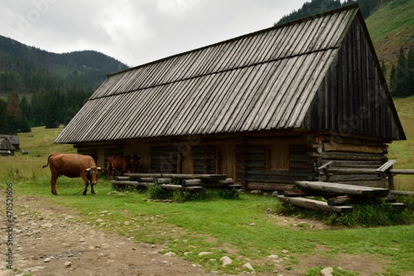 Obraz góry