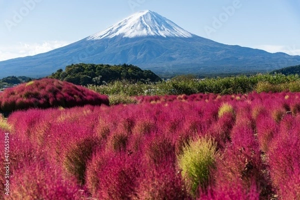 Obraz mountain in autumn