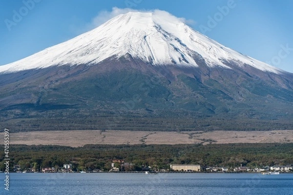 Obraz mountain and blossoms