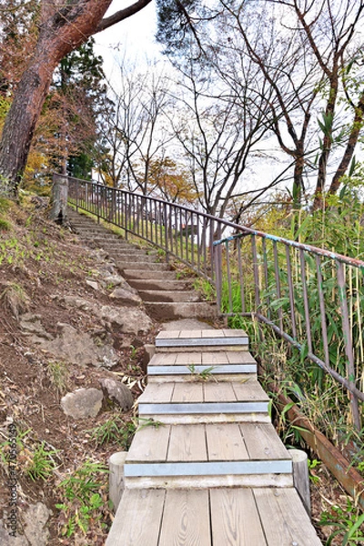 Fototapeta 【群馬県利根郡】春の水上 諏訪峡遊歩道