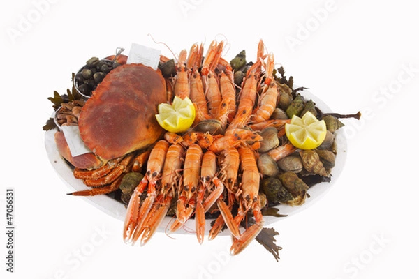 Obraz plateau de fruits de mer
