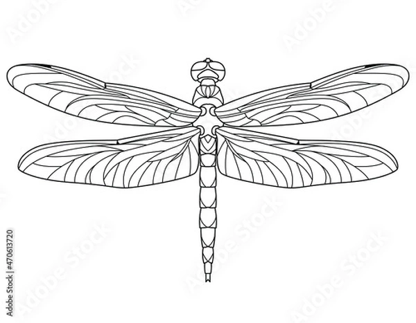 Fototapeta Dragonfly. Outline vector illustration for coloring book. Antistress for adults and children.  Elements for print, card, posters