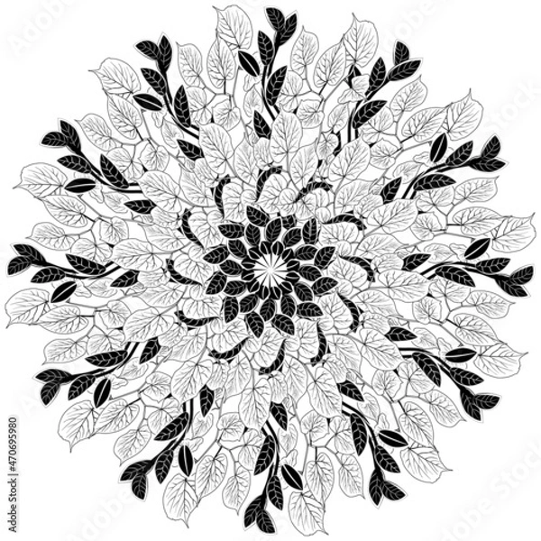 Fototapeta fantasy abstract ornament from tree leaves