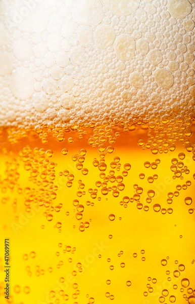 Obraz Beer background