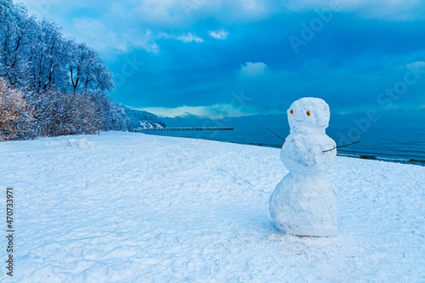 Fototapeta Snowman standing on the beach and smiling