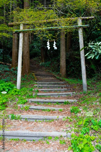 Obraz Shinmei Torii on the stairs