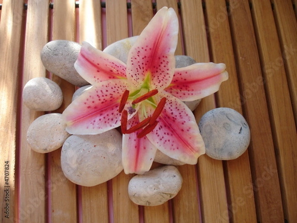 Obraz AMBIANCE DETENDUE