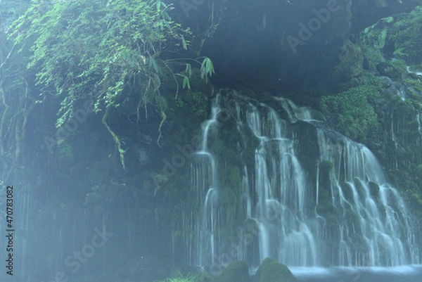 Fototapeta 新緑の元滝伏流水
