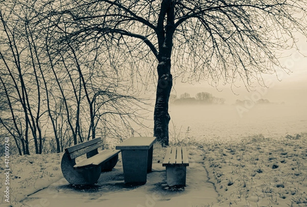 Obraz Trauer Stimmung