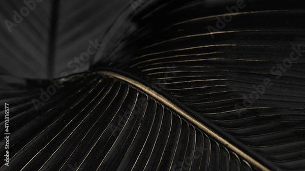 Fototapeta Golden bird of paradise leaf background design resource