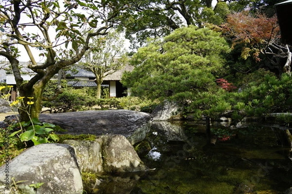 Fototapeta 日本庭園