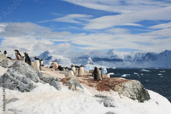 Obraz Antarctic Peninsula