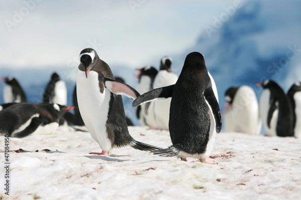 Obraz Przybij piątkę