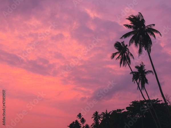 Fototapeta Iconic tall coconut palm tree with against sunset orange sky tropical island. Koh Mak Island, Trat, Thailand. Minimal summer vibe with copy space.