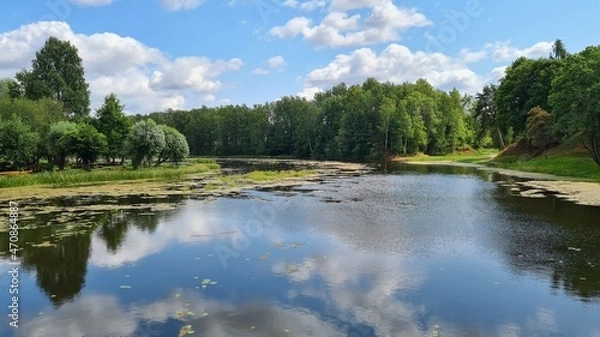 Fototapeta River with many algae on the surface of the water flows through the forest