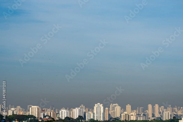 Obraz Skyline de São Paulo periodo diurno