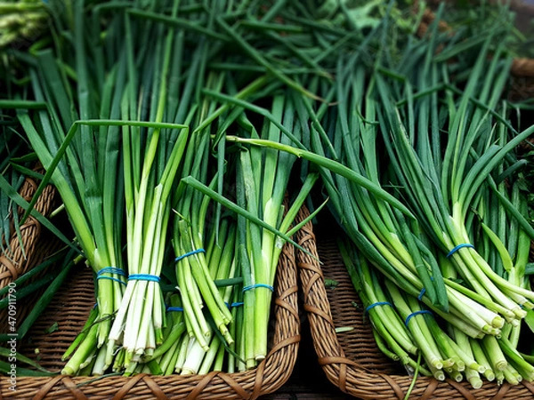 Obraz Chives On A Brown Basket In A Market. Background Texture Of Chives, Green Onions, On The Counter