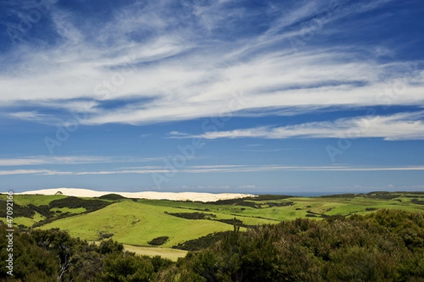 Obraz The Road North