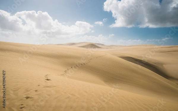 Fototapeta Te Paki Dunes in the north of New Zealand.